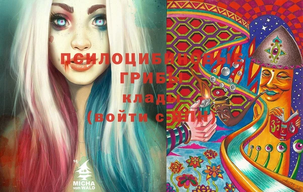 синтетический гашиш Арсеньев